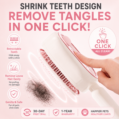 HeyGirl™ Steam Hairbrush